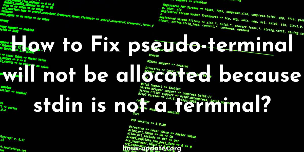 How to Fix pseudo-terminal will not be allocated because stdin is not a terminal?